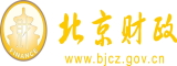 淫荡的网页北京市财政局