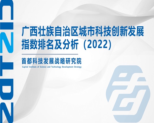 大鸡巴插逼逼影视观看【成果发布】广西壮族自治区城市科技创新发展指数排名及分析（2022）